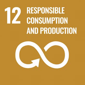 RESPOSIBLE CONSUMPTION AND PRODUCTION